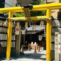 こはる (@yoe8cpls2q20162) 's Twitter Profile