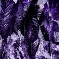 TAMODero (@tam0dero) 's Twitter Profile