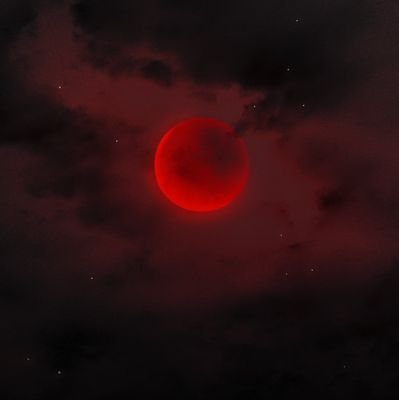 Dante_4141_'s profile picture. #HEXATOMBE #AbelhaNoOrdem