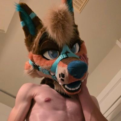 He/Him | 22 | AD??? Wut dis?
| 🔞NSFW side of @DeekoTheYote | 18+ ONLY
