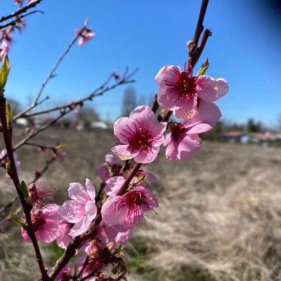 No dejen q nadie los engañe con filosofías erradas y huecas,basadas en tradiciones humanas y en los poderes q dominan este mundo,y no en la enseñanza d Cristo.