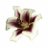 velourmour's profile image