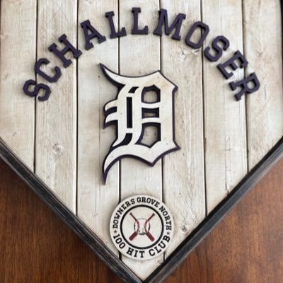 Co-founder - Next Level Baseball Academy | Volunteer Assistant Baseball Coach - Downers Grove North High School