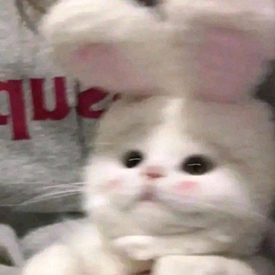 su_zo31222's profile picture. ちば♡