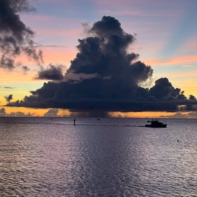 m_koudai2629's profile picture. アニメ、マンガ、映画、ゲームが好きです！！ よろしくお願いします。