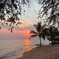 D🤍 (@iamblesseddddd) 's Twitter Profile