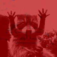 Ak!Lucat🩸| ❤️🔥 (@4nfi_tr4s) 's Twitter Profile