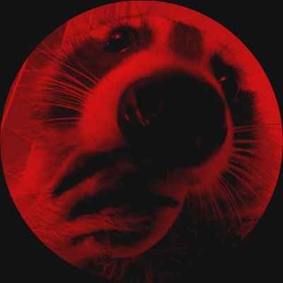 angelzinw's profile picture. gato 18 ele/dele 🏳️‍⚧️Nb