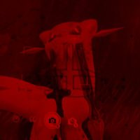 C🩸 tudo começa pelo sangue... (@vossavampireza) 's Twitter Profile