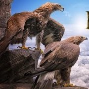 _nsj01's profile picture.