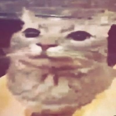 gabo_56xd's profile picture. im a fish 🐟