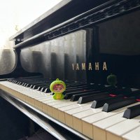 𝐻𝐼𝑅𝒪 on X: 