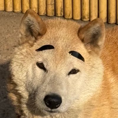 がん痔すさんのプロフィール画像