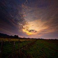 NatashaPet35267's profile picture. Working As A University Professor. My encouraging and ambitious and detail-oriented nature drives me to pursue tennis, bowling in my free time.