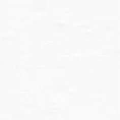 yaryu_1031's profile picture. 20↑