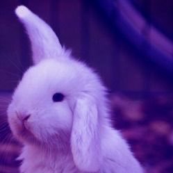 Claykation's profile picture. random old man enthusiast ⋆˚꩜｡ he/him⋆˚꩜｡ yumeshipper!!