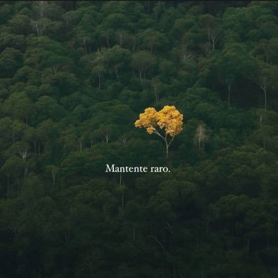 YasVolhardingg1's profile picture. 