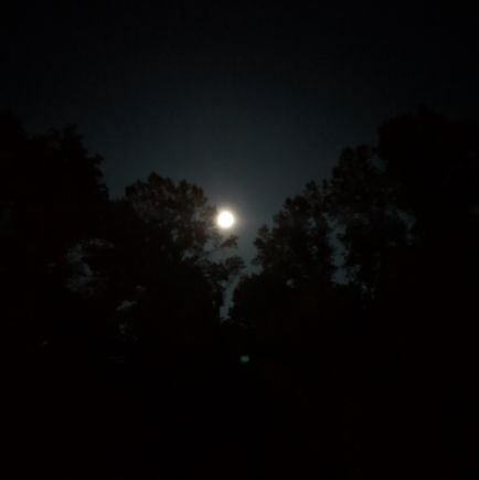 sawinthapa's profile picture. PhD Physics Student @KentState. #physics #quantum #hep #qcd into #QuantumComputing