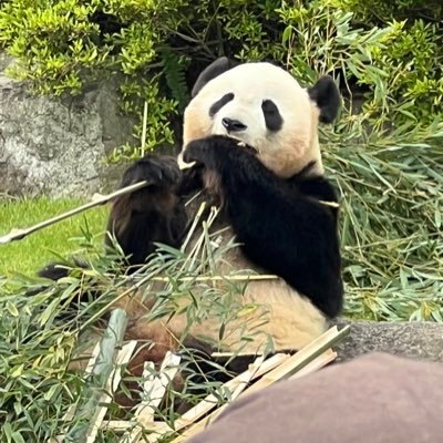 フォロー申請して来ないでね