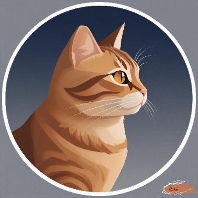 bxe20508's profile picture. 