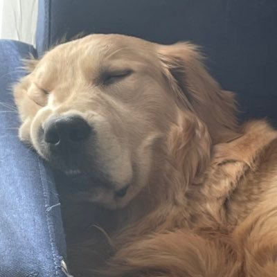 ndfXGNoFkw73540's profile picture. 