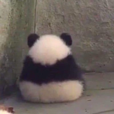 httpburgers's profile picture.