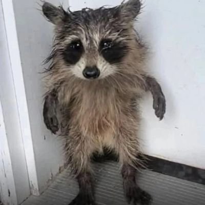 erikaimzln's profile picture. 