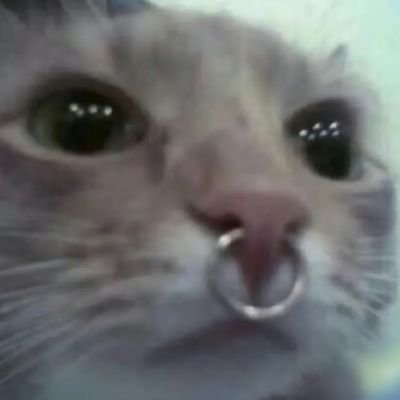 _ss_1644's profile picture. 冷静 自省 抽离
