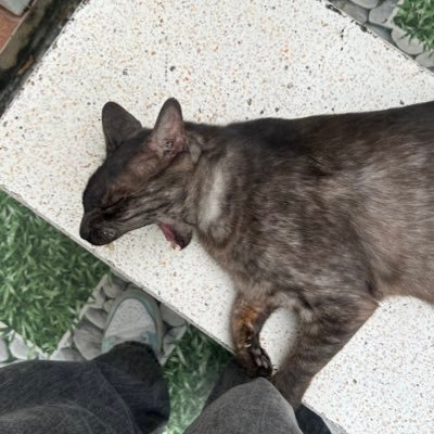 barsqbw's profile picture. 