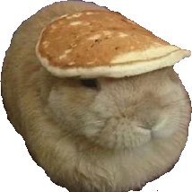 Goose1620071's profile picture. 