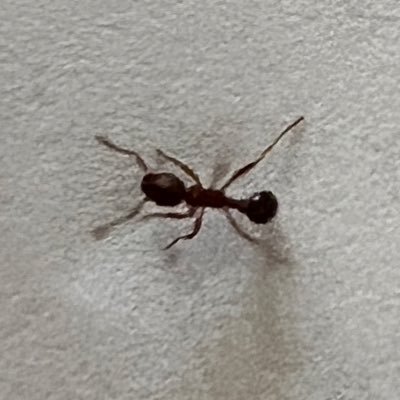 OldYellerNSFW's profile picture. Taboo/Minors DNI == DM responses preferred. 18+