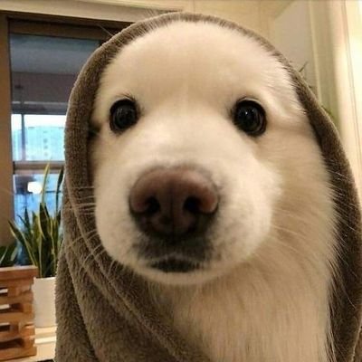 siomay_ayyam's profile picture. ✝️
