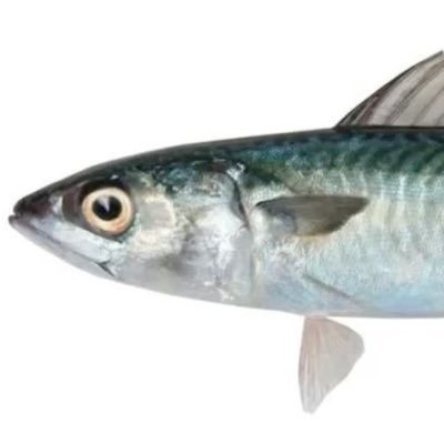 fishinglure91's profile picture. i like dandy’s world