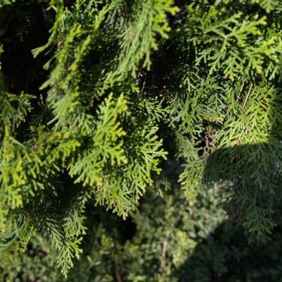 speedreader09's profile picture. 준나게책읽기라는뜻