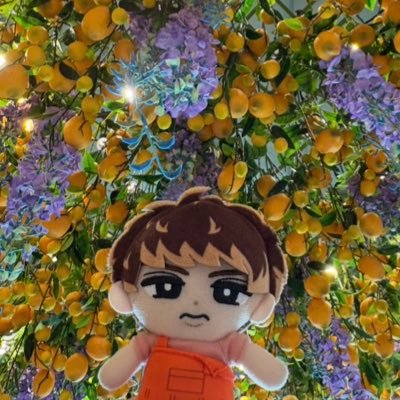 y n🧡🌻🌻 (@ynworldtraveler): 