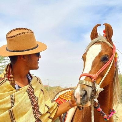 mahechavp05's profile picture. 