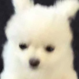 soooio13's profile picture. 27수능 / 언매한지생윤 • •