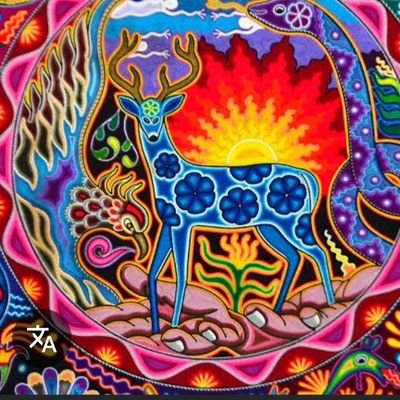 Adriana00251137's profile picture. 