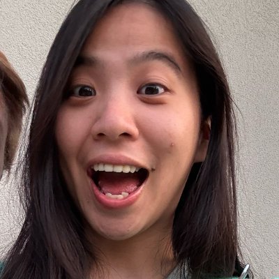 Building AI infra 🏗️ Chief Janitor Officer @novita_labs
