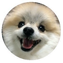 蛍石さんのプロフィール画像