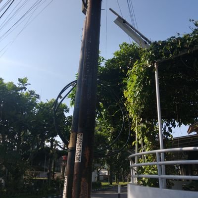 rismadewiariani's profile picture. Ngapain?😬