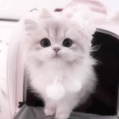 職業ニート👶🏻🏠
池松壮亮くんとアフヌンと映画ドラマが大好きあかうんと~(=^・ω・^)🎵💘💘インスタID同じです🫶🏻❤︎
