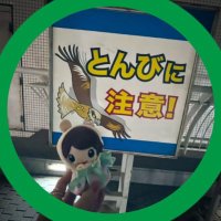あいココココ。 (@smt_mro) 's Twitter Profile