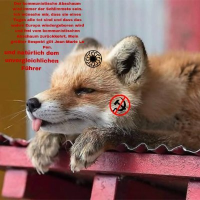 Ex pambitard🐝❌/AntiComunista/Autoritario/18yrs/AntiIslam/
Si hombre como si me importara, me da igual lo que opinais de mi