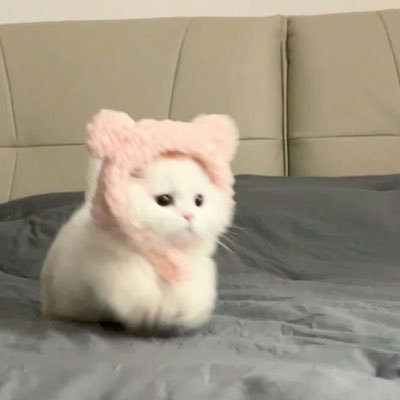 yupui_'s profile picture. 20代OL💐好きなもの記録🎀