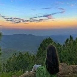 Wilau03671's profile picture. 欢迎来到😇金银珠寐娱乐🌍全球高端外围