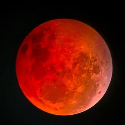SeungKim1386660's profile picture. 