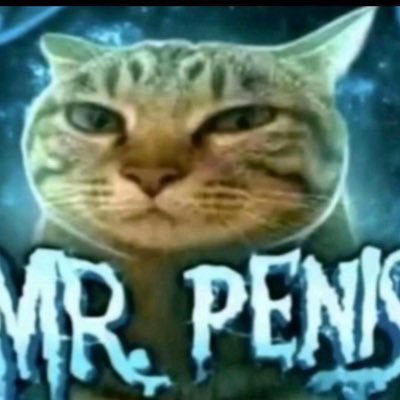 Miagwcf's profile picture. 