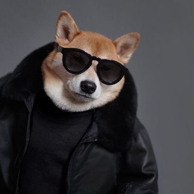 GenciGencigenci's profile picture. degen is life 

https://t.co/z0IYR83AMp