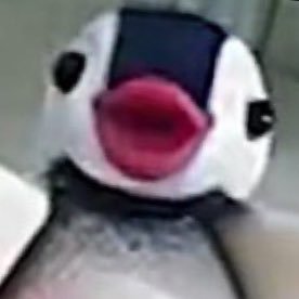 uVAXgYQWGQyplRn's profile picture. 